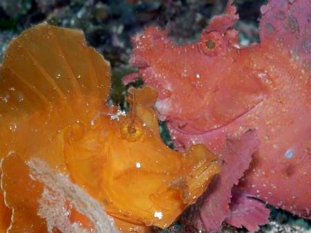 �����@��l